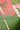 WILDERNESS PERIDOT/EMERALD 12