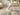 ELSDON LINDEN 2