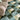 BLOCKS FERN 5