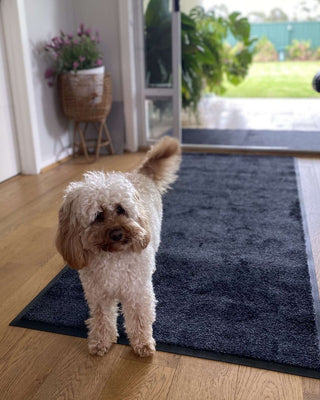 Absorberende matter på mål - Teppemannen