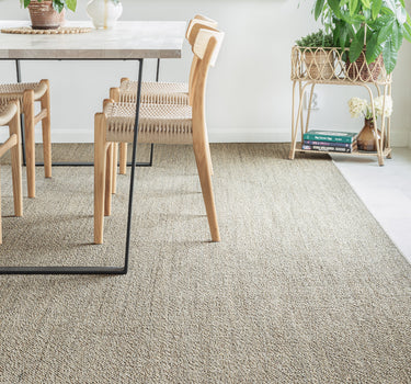 AGAVE RUSTICA MILJØ